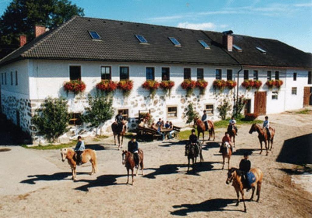 Reiterhof Stoeglehner Villa Rainbach im Muhlkreis Exterior photo